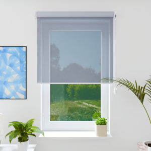 StandardRolloTransparent_FinalEdit