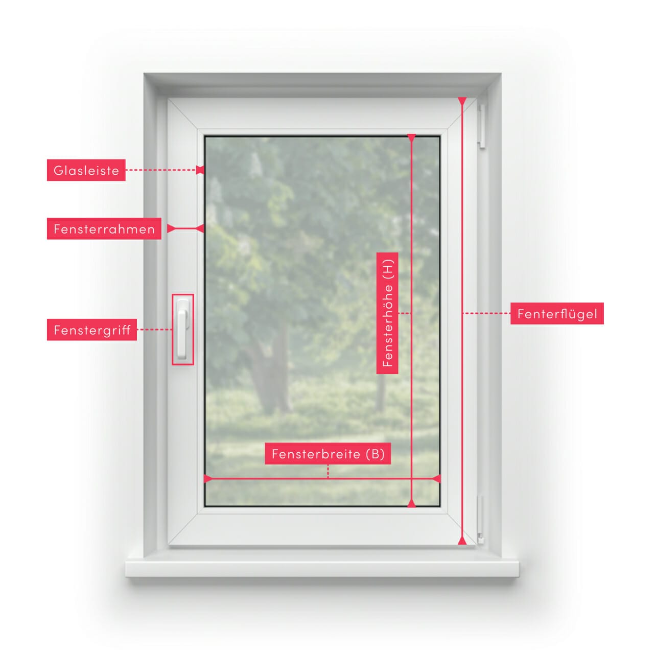 dimensions-modal-1-1