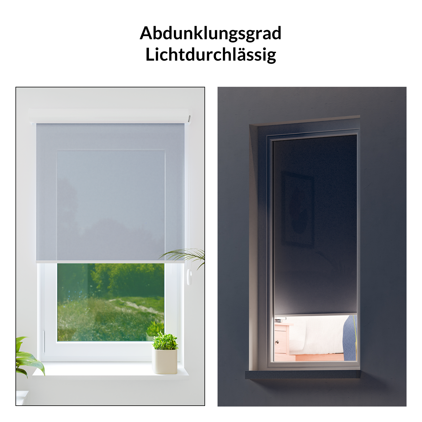 galery_image_desktop-2-1