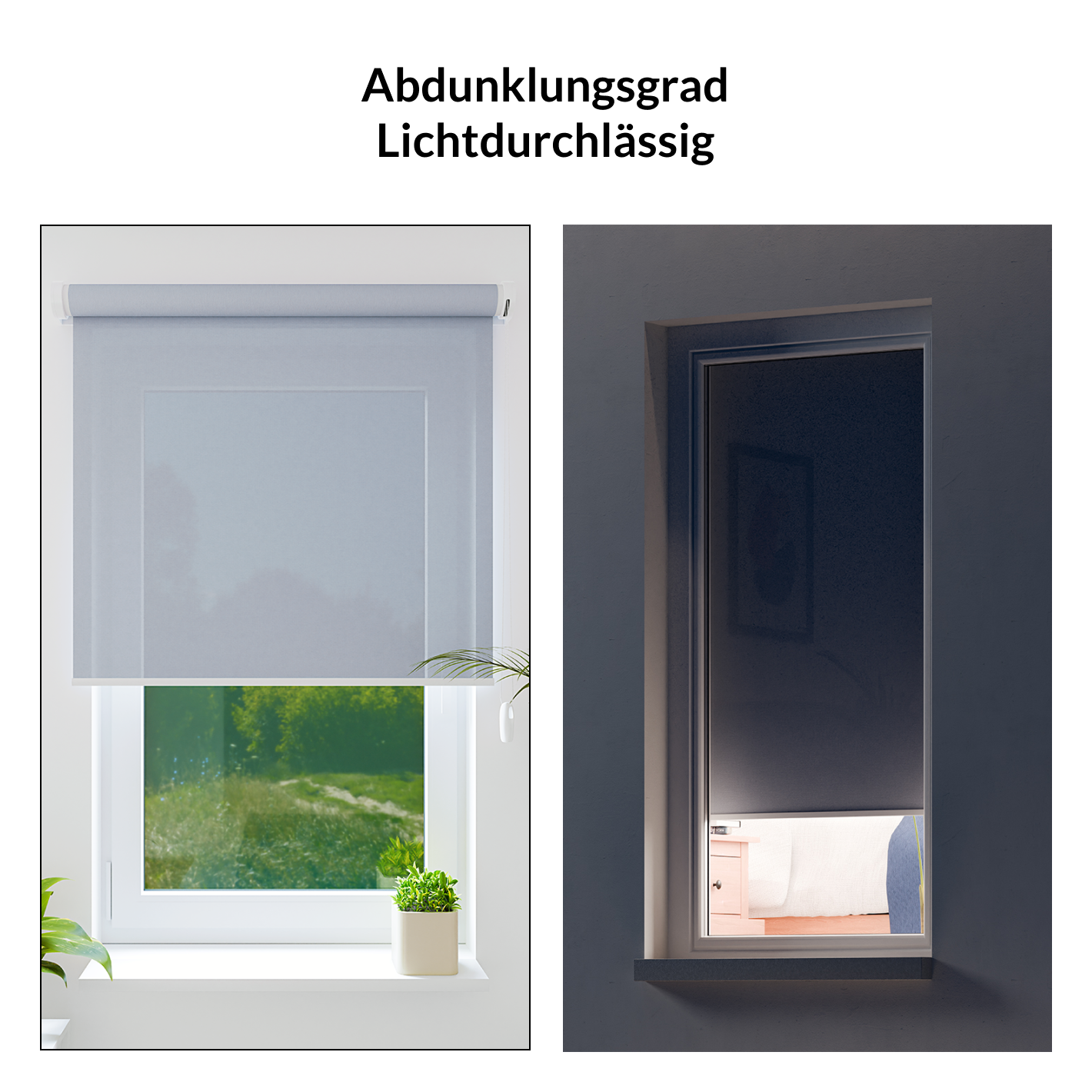 galery_image_desktop-3