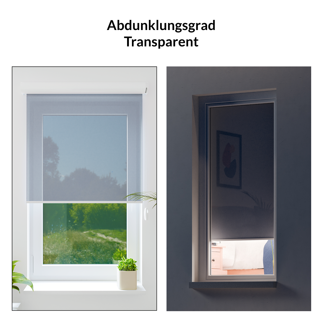 rollo-gallery-transparent